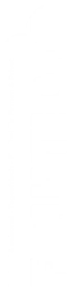 Fruitico Logo hochkant